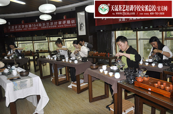 第164期：茶修之行茶十式复习(图1)