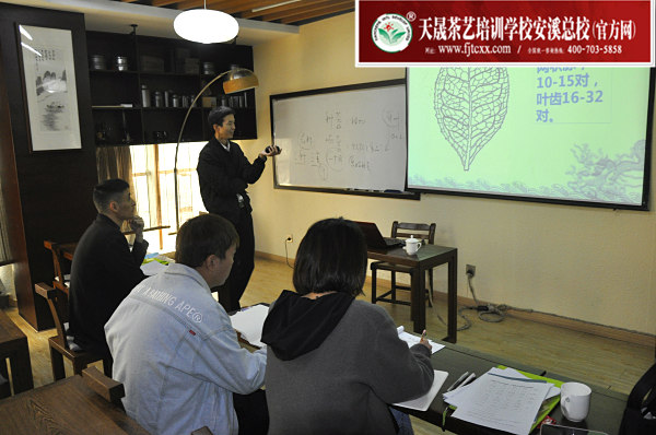 第172期：茶叶发展史、乌龙茶的分布及三大茶类品质特征介绍(图1)