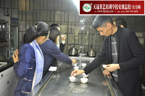 第172期：铁观音香型分类与审评(图3)