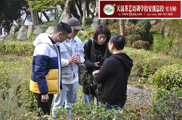 第172期：参观安溪茶叶大观园(图2)