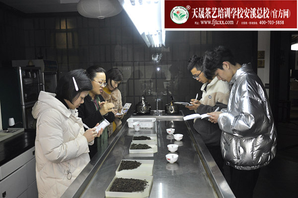 第173期：铁观音香型分类与审评(图2)