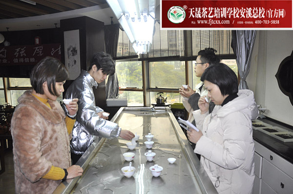 第173期：铁观音香型分类与审评(图3)