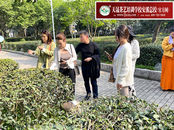 秦皇岛茶艺培训学员问天晟茶艺培训学校：秦皇岛茶艺培训哪家好？(图1)