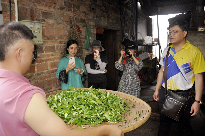 人生如茶，需细细品味。天晟中国茶学系统培训班十二月茶艺师培训班邀您共品茶韵(图2)