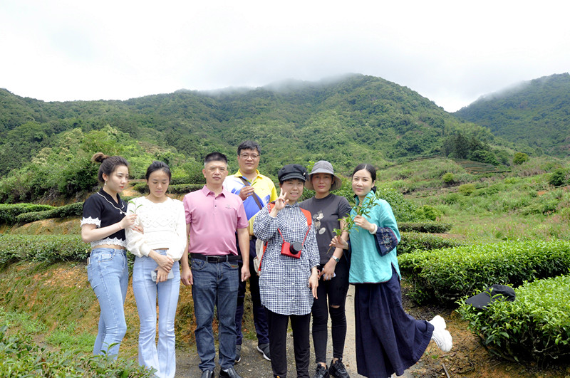 廊坊茶艺培训学员问天晟茶艺培训学校：高级茶艺师去哪里培训比较好？(图1)