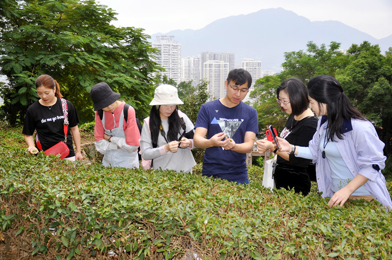 忻州茶艺培训学员问天晟茶艺培训学校：忻州茶艺培训班哪家好？(图2)