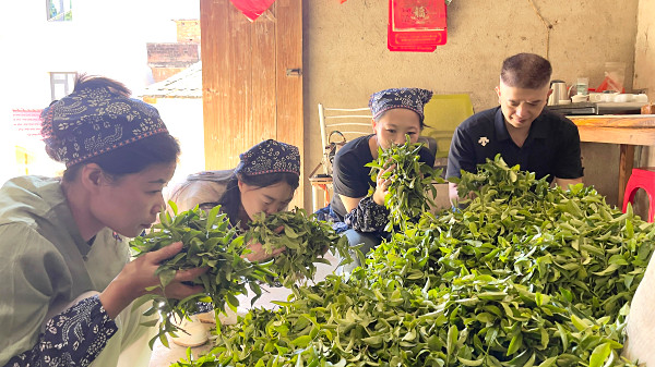 临汾茶艺培训学员问天晟茶艺培训学校：茶艺培训心得体会有吗？(图2)