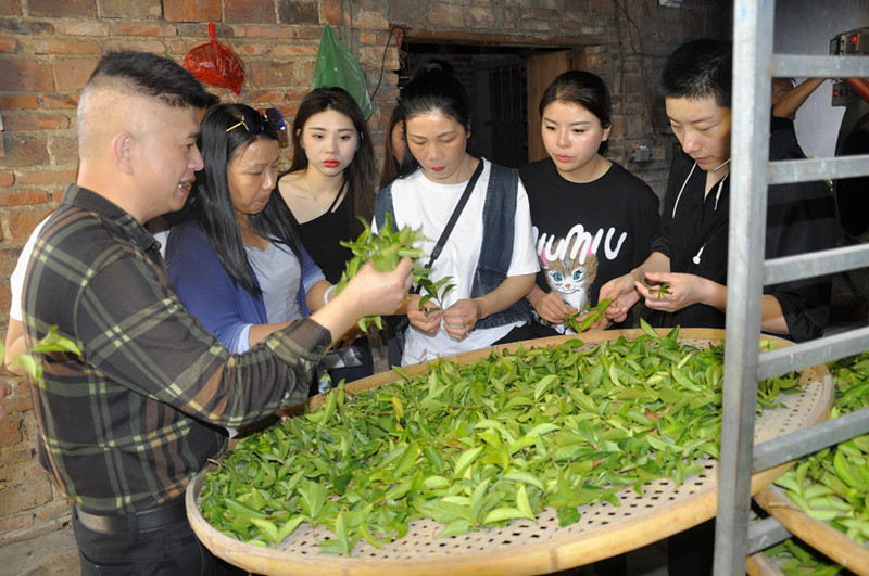 2025年1月茶艺师培训班哪里报名？天晟茶艺培训学校：探索茶艺之美，开启中国茶学之旅(图3)