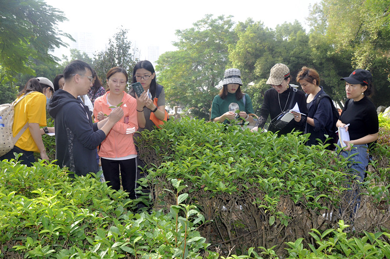 鞍山茶艺培训学员问天晟茶艺培训学校：想学茶艺哪里可以学？(图1)