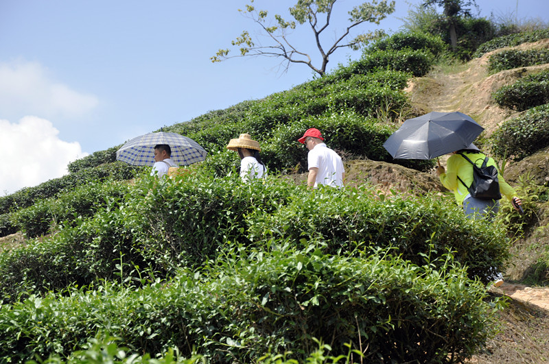 丹东茶艺培训学员问天晟茶艺培训学校：茶艺师培训学校哪个好？(图2)