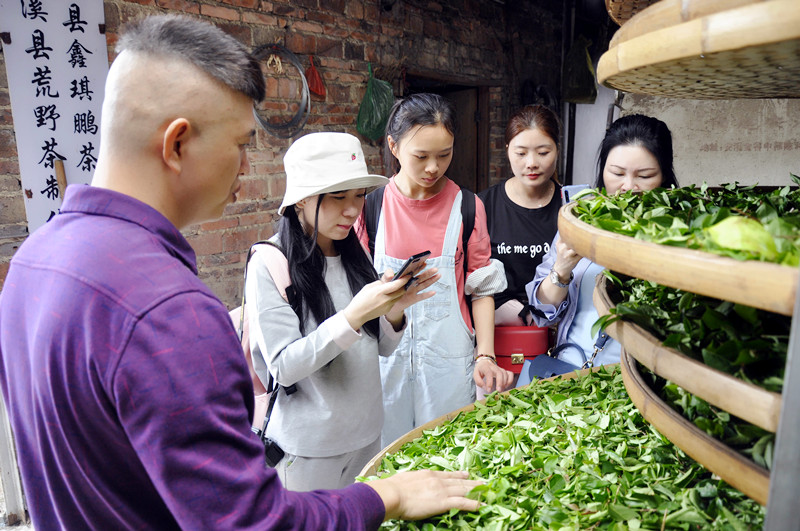 锦州茶艺培训学员问天晟茶艺培训学校：参加茶艺培训班应注意什么？(图3)