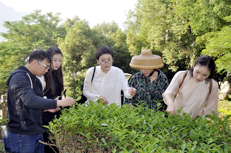 营口茶艺培训学员问天晟茶艺培训学校：茶艺师培训机构排名怎么看？(图3)