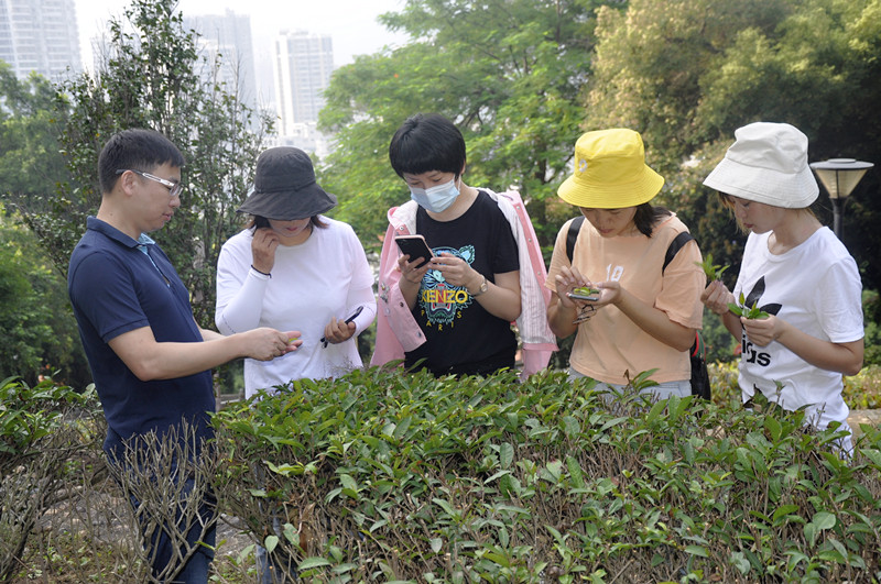 天晟茶艺培训：习茶女子，以艺润心，烹煮岁月里的清雅芬芳(图1)